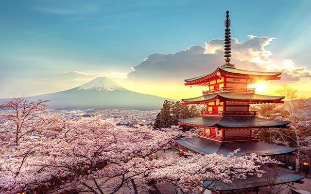 Japan during cherry blossom season